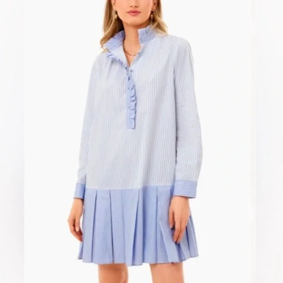 Tuckernuck Tate Stripe Mini Dress Size L Preppy Quiet Luxury Ruffle Cotton Blend - Picture 2 of 12